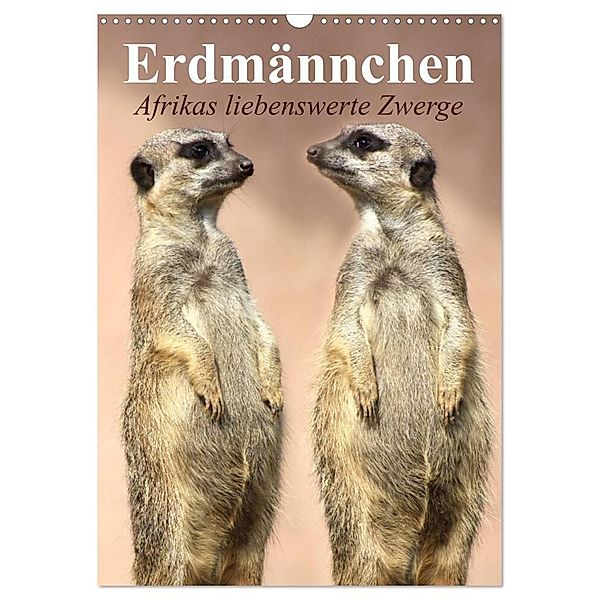 Erdmännchen - Afrikas liebenswerte Zwerge (Wandkalender 2024 DIN A3 hoch), CALVENDO Monatskalender, Elisabeth Stanzer