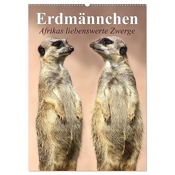 Erdmännchen - Afrikas liebenswerte Zwerge (Wandkalender 2024 DIN A2 hoch), CALVENDO Monatskalender, Elisabeth Stanzer