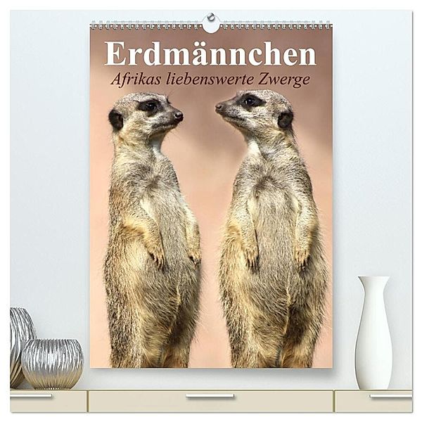 Erdmännchen - Afrikas liebenswerte Zwerge (hochwertiger Premium Wandkalender 2024 DIN A2 hoch), Kunstdruck in Hochglanz, Elisabeth Stanzer