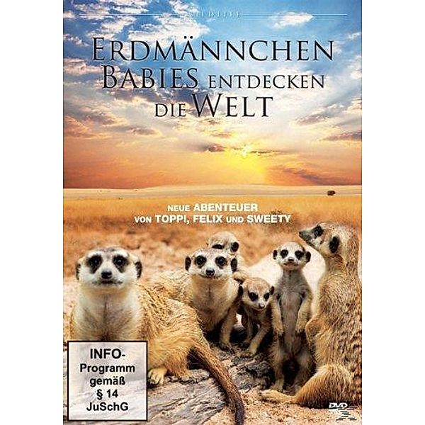 Erdmännchen Babies entdecken die Welt, Tiere Ganz Nah