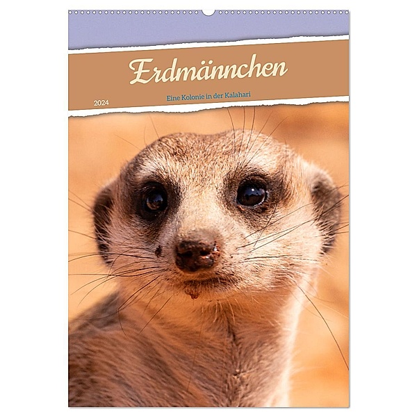 Erdmännchen - Eine Kolonie in der Kalahari (Wandkalender 2024 DIN A2 hoch), CALVENDO Monatskalender, Dorothea Früh