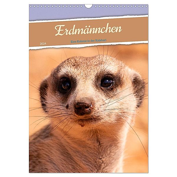 Erdmännchen - Eine Kolonie in der Kalahari (Wandkalender 2024 DIN A3 hoch), CALVENDO Monatskalender, Dorothea Früh