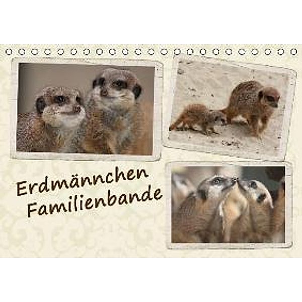 Erdmännchen Familienbande (Tischkalender 2016 DIN A5 quer), Chawera