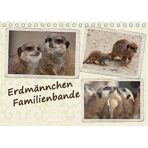 Erdmännchen Familienbande (Tischkalender 2018 DIN A5 quer), Chawera