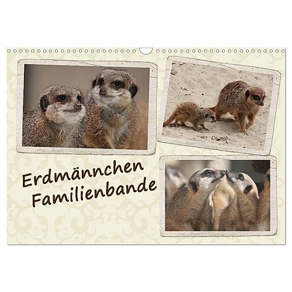 Erdmännchen Familienbande (Wandkalender 2024 DIN A3 quer), CALVENDO Monatskalender, Chawera