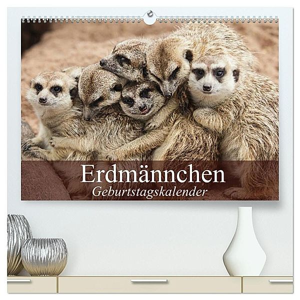 Erdmännchen (hochwertiger Premium Wandkalender 2025 DIN A2 quer), Kunstdruck in Hochglanz, Calvendo, Elisabeth Stanzer