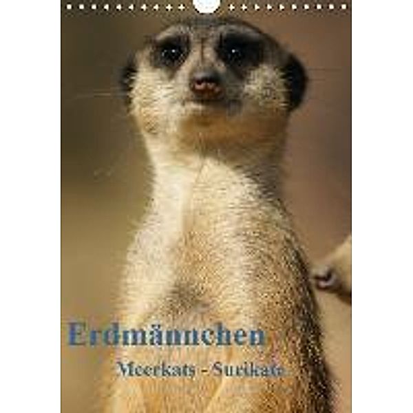 Erdmännchen-Meerkats-Surikate - AT Version (Wandkalender 2015 DIN A4 hoch), Peter Hebgen