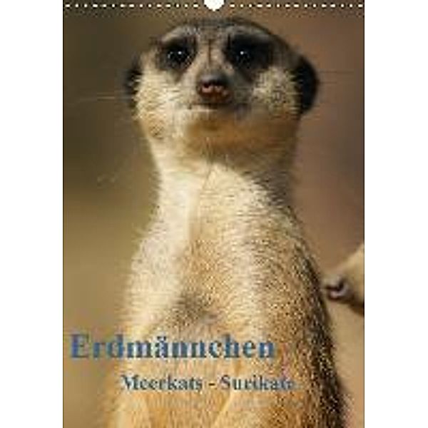 Erdmännchen-Meerkats-Surikate - AT Version (Wandkalender 2015 DIN A3 hoch), Peter Hebgen