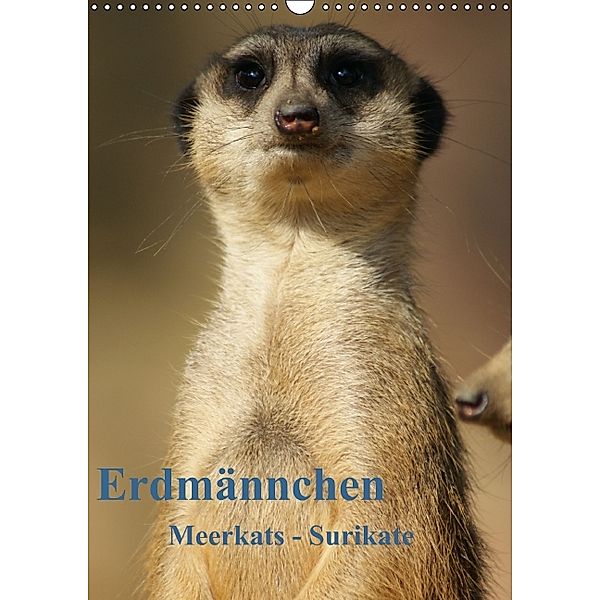 Erdmännchen-Meerkats-Surikate CH Version (Wandkalender 2014 DIN A3 hoch), Peter Hebgen