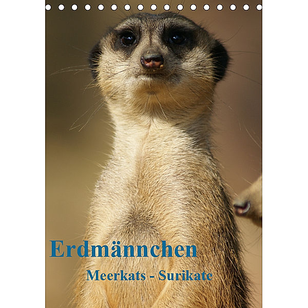 Erdmännchen-Meerkats-Surikate CH Version (Tischkalender 2019 DIN A5 hoch), Peter Hebgen