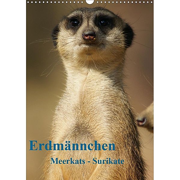 Erdmännchen-Meerkats-Surikate CH Version (Wandkalender 2021 DIN A3 hoch), Peter Hebgen