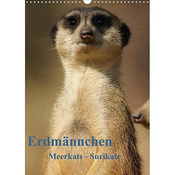 Erdmännchen-Meerkats-Surikate CH Version (Wandkalender 2023 DIN A3 hoch), Peter Hebgen