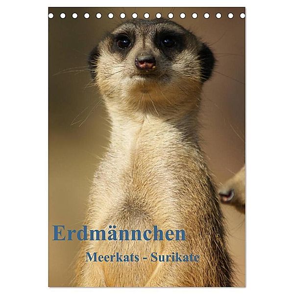 Erdmännchen-Meerkats-Surikate CH Version (Tischkalender 2024 DIN A5 hoch), CALVENDO Monatskalender, Peter Hebgen