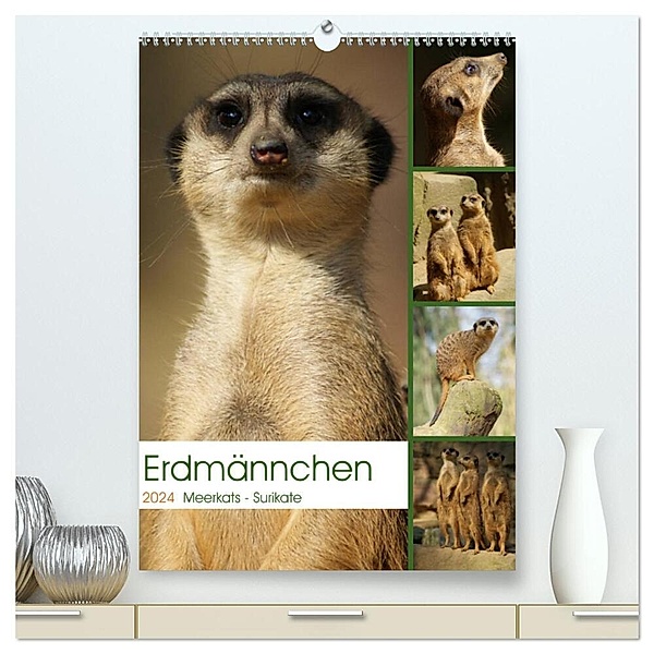 Erdmännchen-Meerkats-Surikate (hochwertiger Premium Wandkalender 2024 DIN A2 hoch), Kunstdruck in Hochglanz, Peter Hebgen