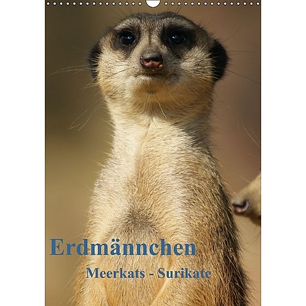 Erdmännchen-Meerkats-Surikate (Wandkalender 2014 DIN A4 hoch), Peter Hebgen