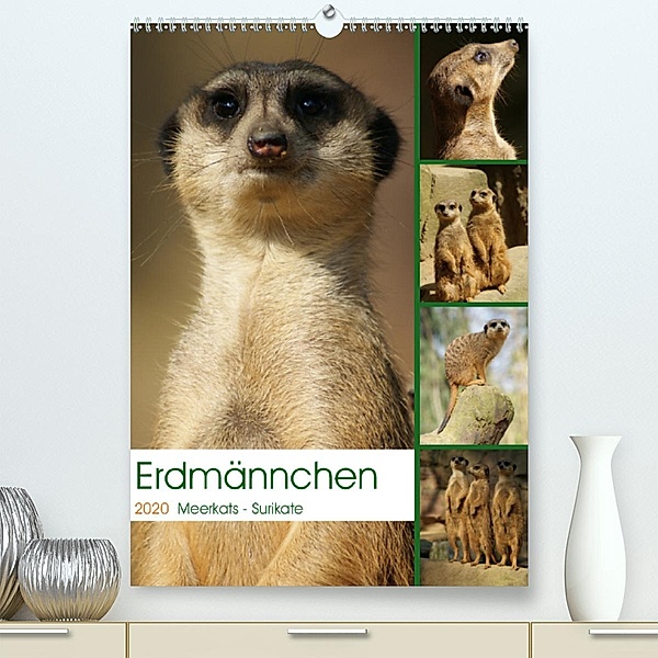 Erdmännchen-Meerkats-Surikate(Premium, hochwertiger DIN A2 Wandkalender 2020, Kunstdruck in Hochglanz), Peter Hebgen