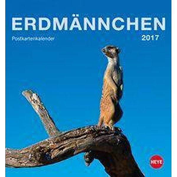 Erdmännchen Postkartenkalender 2017