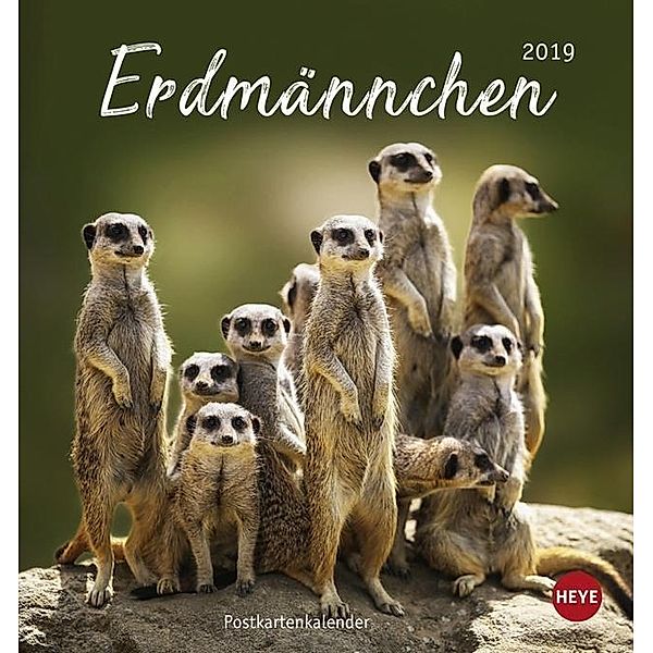 Erdmännchen Postkartenkalender 2019