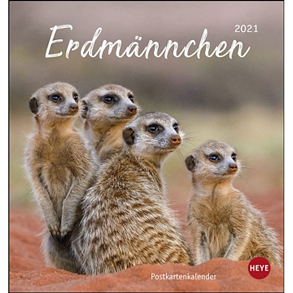 Erdmännchen Postkartenkalender 2021