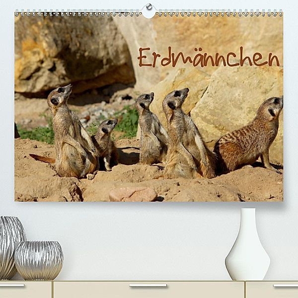 Erdmännchen (Premium-Kalender 2020 DIN A2 quer), Heike Hultsch