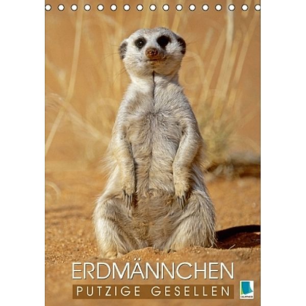 Erdmännchen: Putzige Gesellen (Tischkalender 2015 DIN A5 hoch), Calvendo