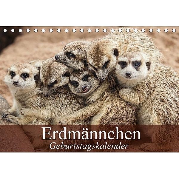 Erdmännchen (Tischkalender 2017 DIN A5 quer), Elisabeth Stanzer