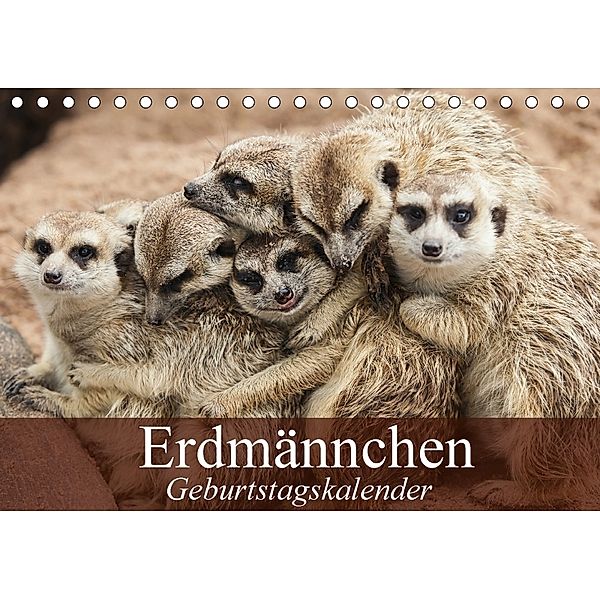 Erdmännchen (Tischkalender 2018 DIN A5 quer), Elisabeth Stanzer