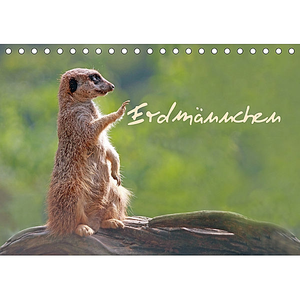 Erdmännchen (Tischkalender 2020 DIN A5 quer)