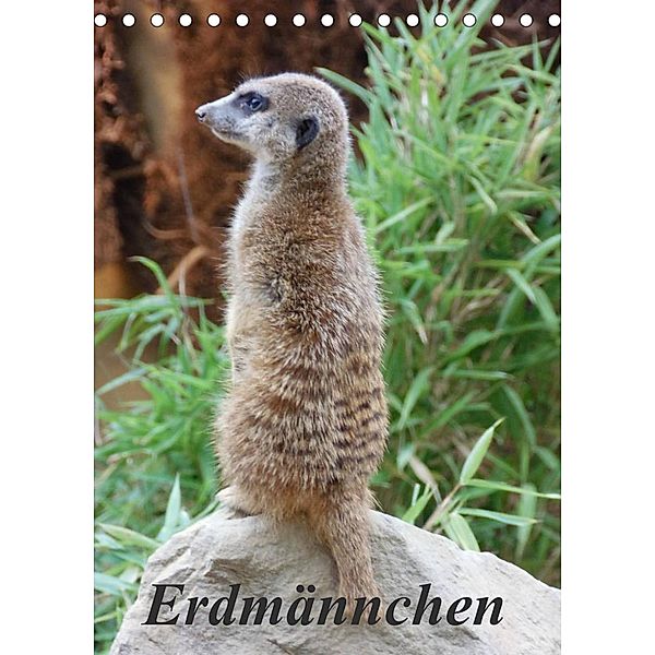 Erdmännchen (Tischkalender 2023 DIN A5 hoch), Sven Herkenrath