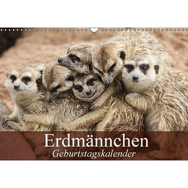 Erdmännchen (Wandkalender 2015 DIN A3 quer), Elisabeth Stanzer