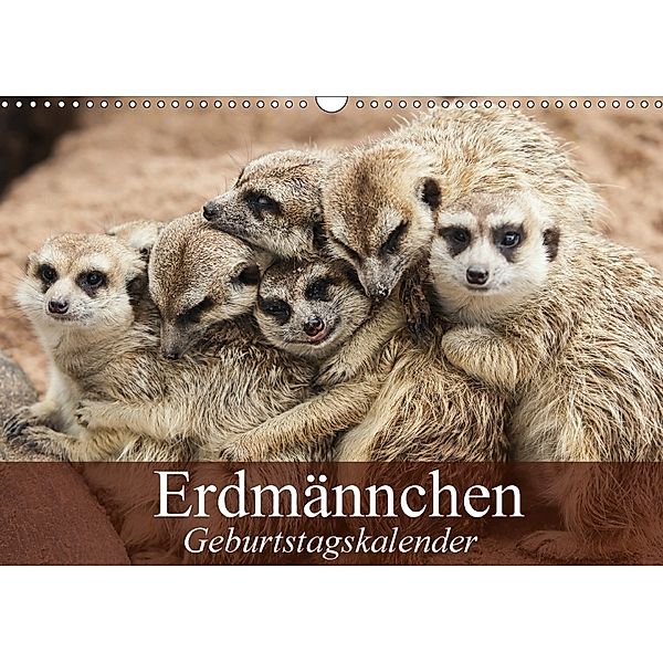 Erdmännchen (Wandkalender 2018 DIN A3 quer), Elisabeth Stanzer