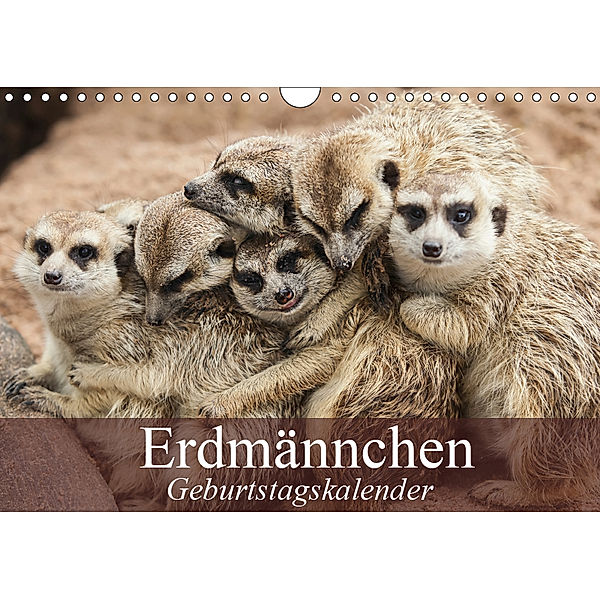 Erdmännchen (Wandkalender 2019 DIN A4 quer), Elisabeth Stanzer