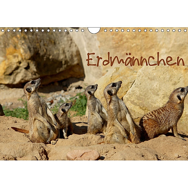 Erdmännchen (Wandkalender 2019 DIN A4 quer), Heike Hultsch