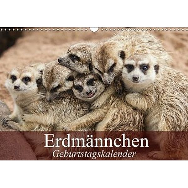 Erdmännchen (Wandkalender 2020 DIN A3 quer), Elisabeth Stanzer