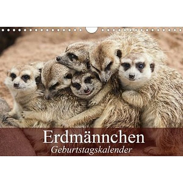 Erdmännchen (Wandkalender 2020 DIN A4 quer), Elisabeth Stanzer