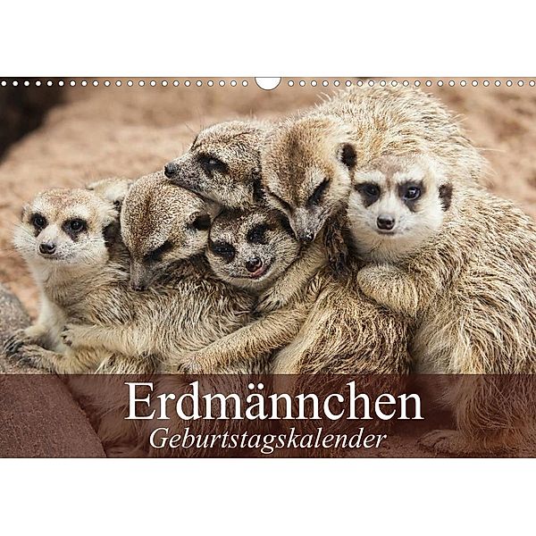 Erdmännchen (Wandkalender 2023 DIN A3 quer), Elisabeth Stanzer