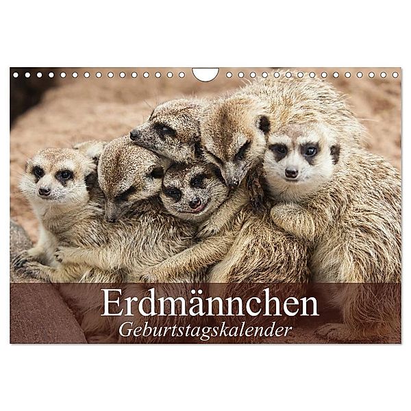 Erdmännchen (Wandkalender 2024 DIN A4 quer), CALVENDO Monatskalender, Elisabeth Stanzer