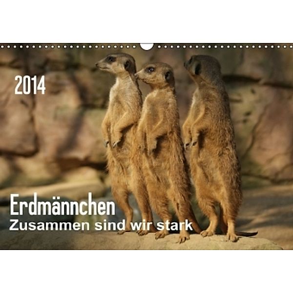 Erdmännchen-Zusammen sind wir stark / AT-Version (Wandkalender 2014 DIN A3 quer), Peter Hebgen