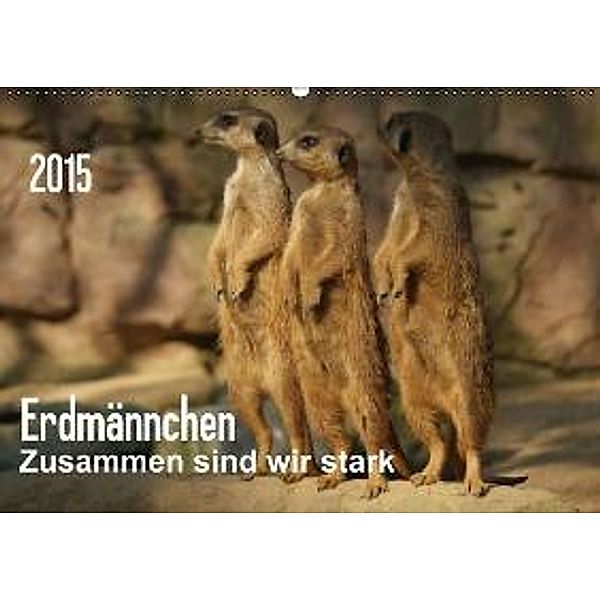 Erdmännchen-Zusammen sind wir stark / AT-Version (Wandkalender 2015 DIN A2 quer), Peter Hebgen