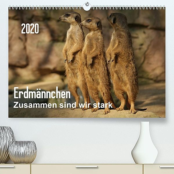 Erdmännchen - Zusammen sind wir stark / CH-Version(Premium, hochwertiger DIN A2 Wandkalender 2020, Kunstdruck in Hochgla, Peter Hebgen