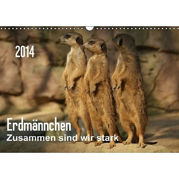 Erdmännchen-Zusammen sind wir stark / CH-Version (Wandkalender 2014 DIN A3 quer), Peter Hebgen