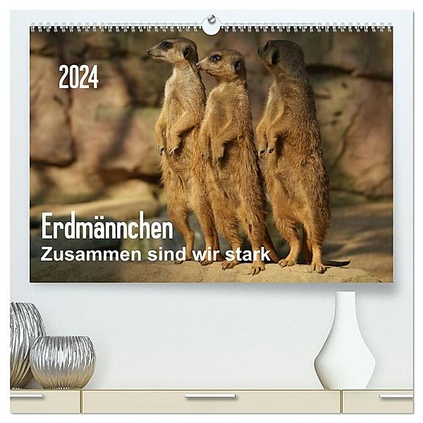 Erdmännchen - Zusammen sind wir stark / CH-Version (hochwertiger Premium Wandkalender 2024 DIN A2 quer), Kunstdruck in Hochglanz, Peter Hebgen