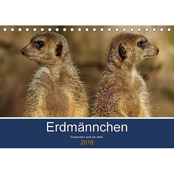 Erdmännchen - Zusammen sind wir stark (Tischkalender 2018 DIN A5 quer), Peter Hebgen