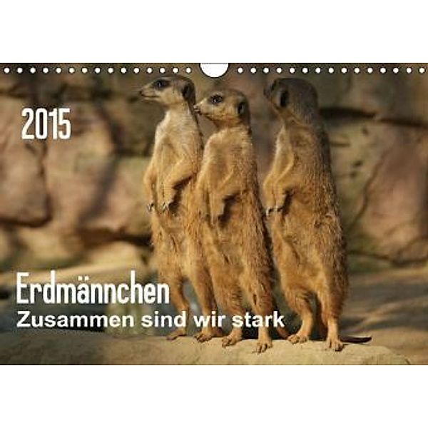 Erdmännchen Zusammen sind wir stark (Wandkalender 2015 DIN A4 quer), Peter Hebgen