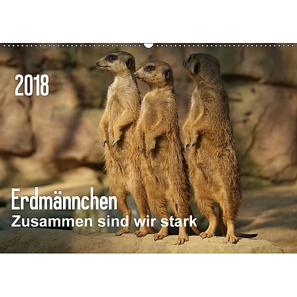 Erdmännchen - Zusammen sind wir stark (Wandkalender 2018 DIN A2 quer), Peter Hebgen