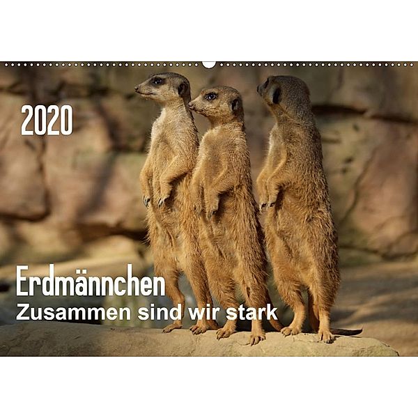 Erdmännchen - Zusammen sind wir stark (Wandkalender 2020 DIN A2 quer), Peter Hebgen