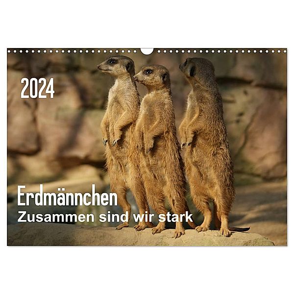 Erdmännchen - Zusammen sind wir stark (Wandkalender 2024 DIN A3 quer), CALVENDO Monatskalender, Peter Hebgen