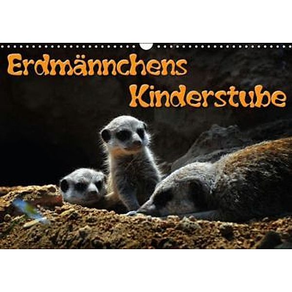 Erdmännchens Kinderstube (Wandkalender 2016 DIN A3 quer), Ingo Laue