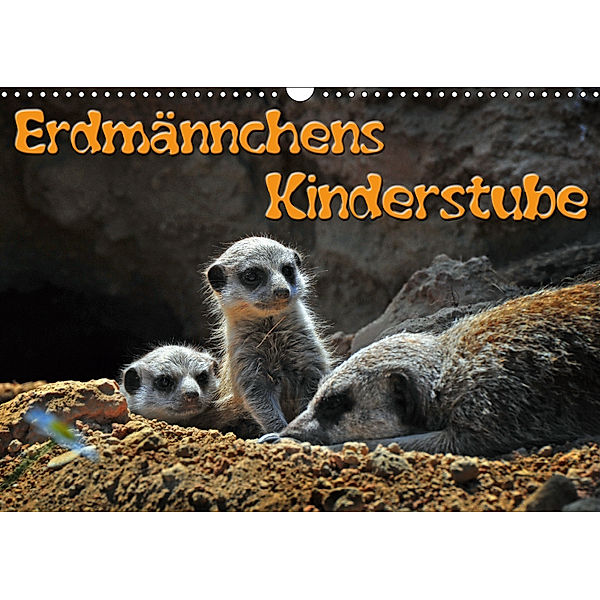 Erdmännchens Kinderstube (Wandkalender 2019 DIN A3 quer), Ingo Laue
