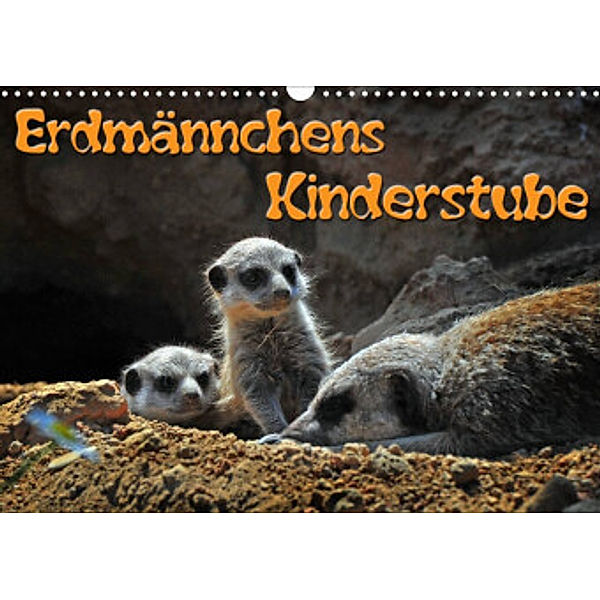 Erdmännchens Kinderstube (Wandkalender 2022 DIN A3 quer), Ingo Laue